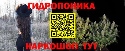 спиды Славгород