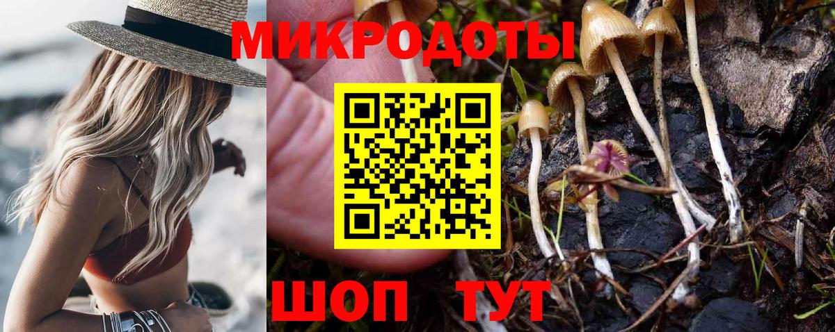 Обь  Псилоцибиновые грибы ЛСД  Вход с VPN 